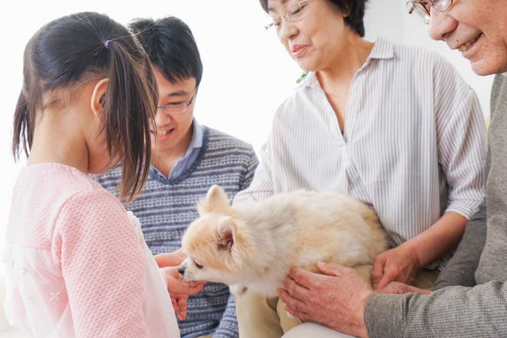 大晦日にカップルが実家暮らしでも楽しむ方法